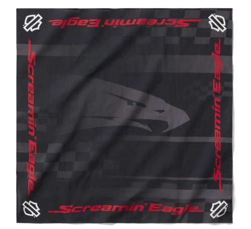 Harley davidson screamin - harley-davidson, screamin'