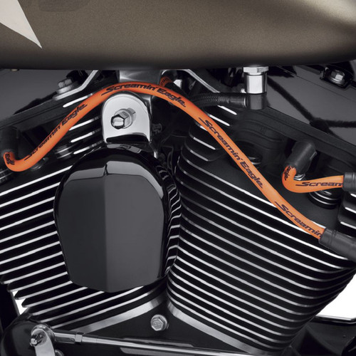 Harley davidson screamin - harley,