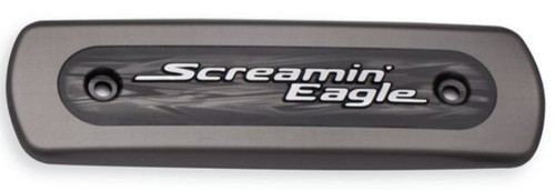 Harley davidson screamin - harley-davidson,